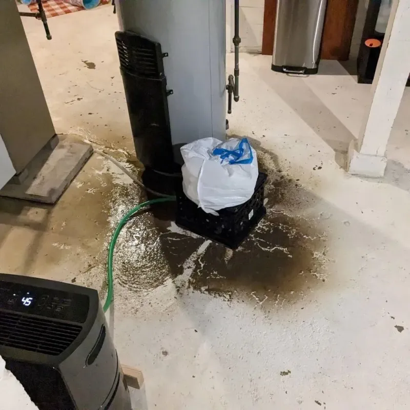 Sewage Backup Cleanup Service in Mullica Hill, NJ